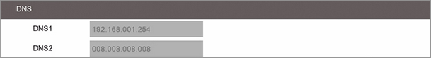 Configuring The DNS Settings On A Zip DVR Or NVR